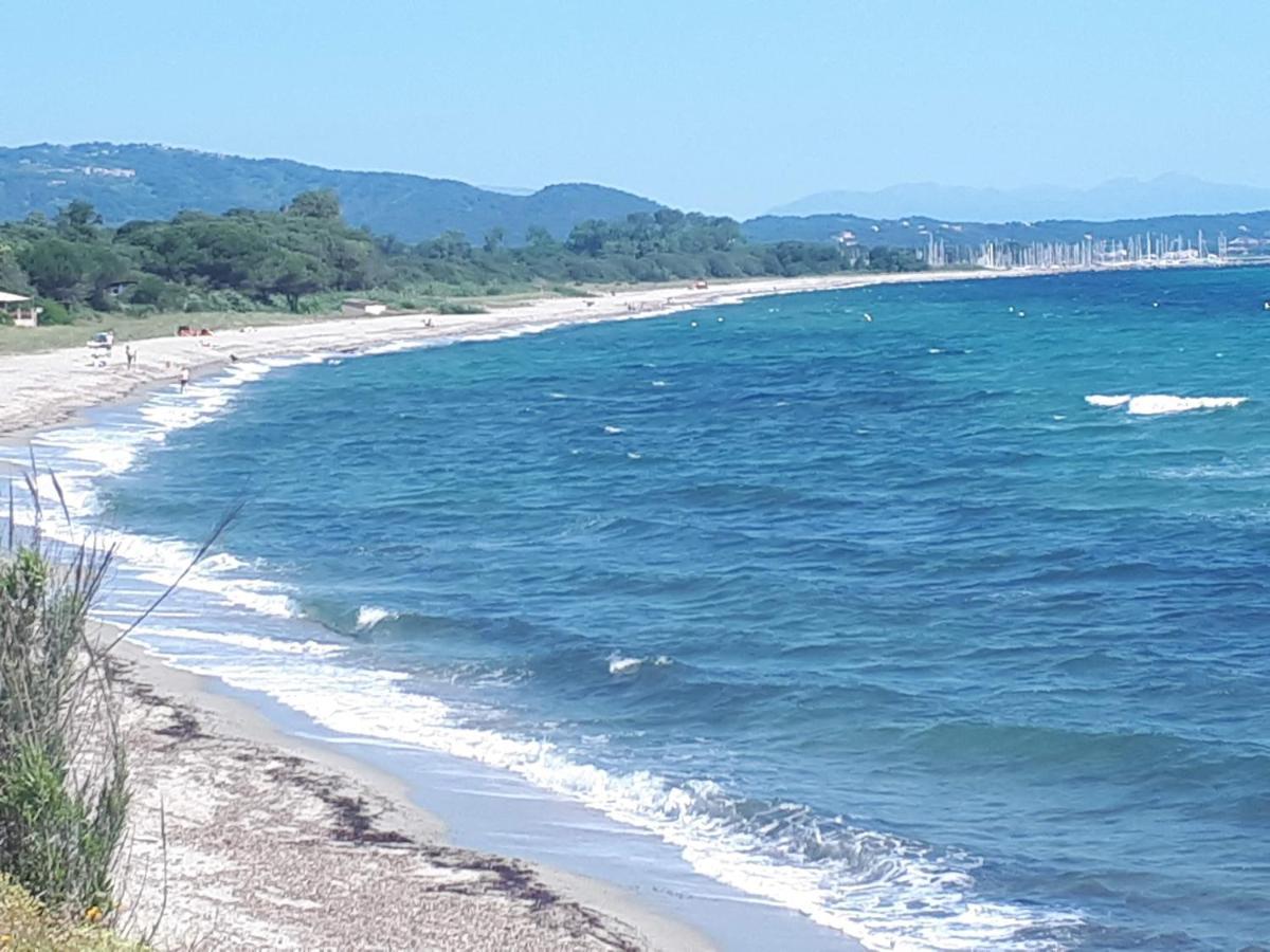 Villa Climatisee A Nuciola Prunete Entre Mer, Montagne Et Piscine Cervione Eksteriør billede