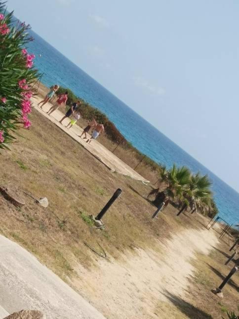 Villa Climatisee A Nuciola Prunete Entre Mer, Montagne Et Piscine Cervione Eksteriør billede