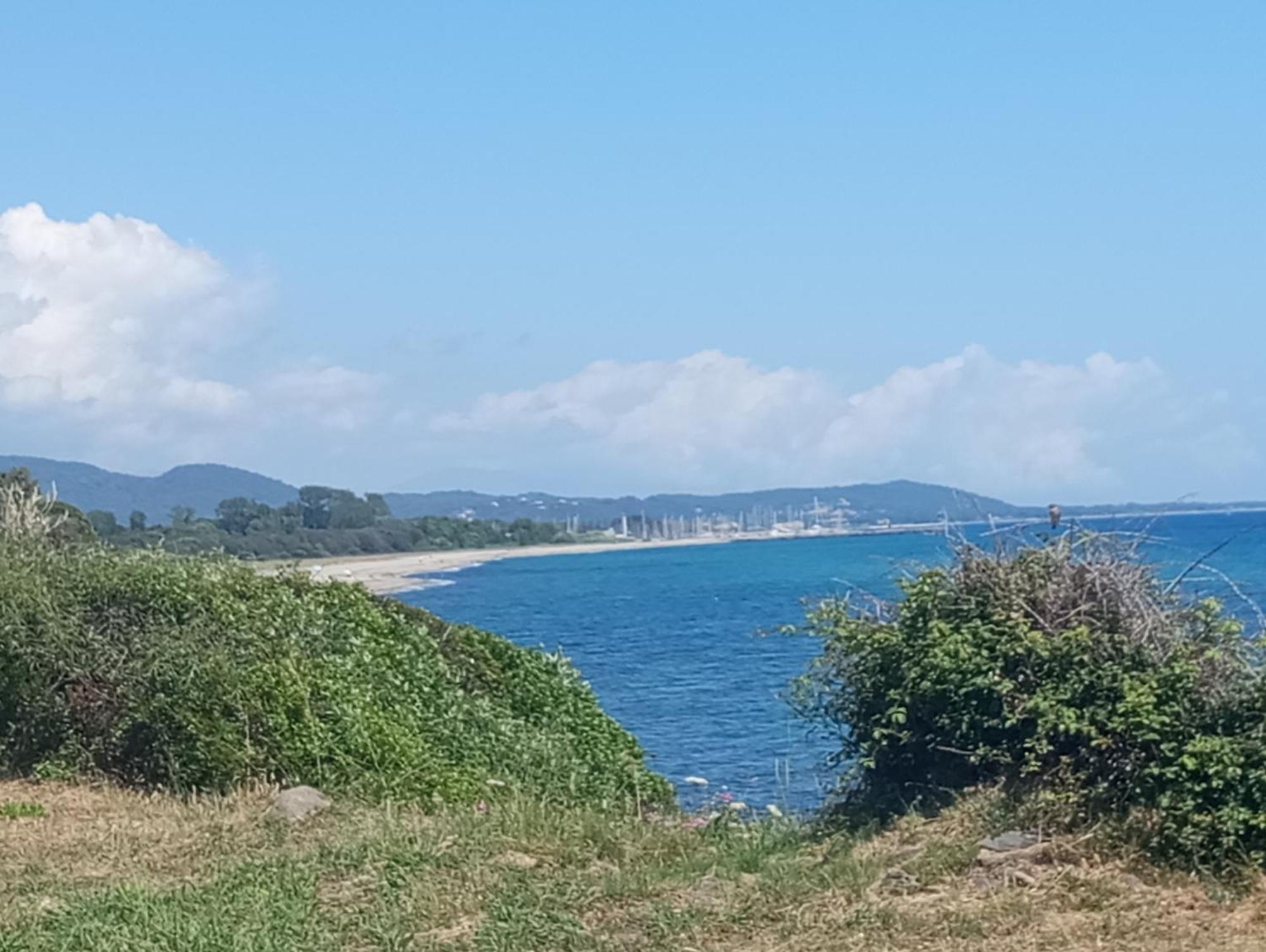 Villa Climatisee A Nuciola Prunete Entre Mer, Montagne Et Piscine Cervione Eksteriør billede