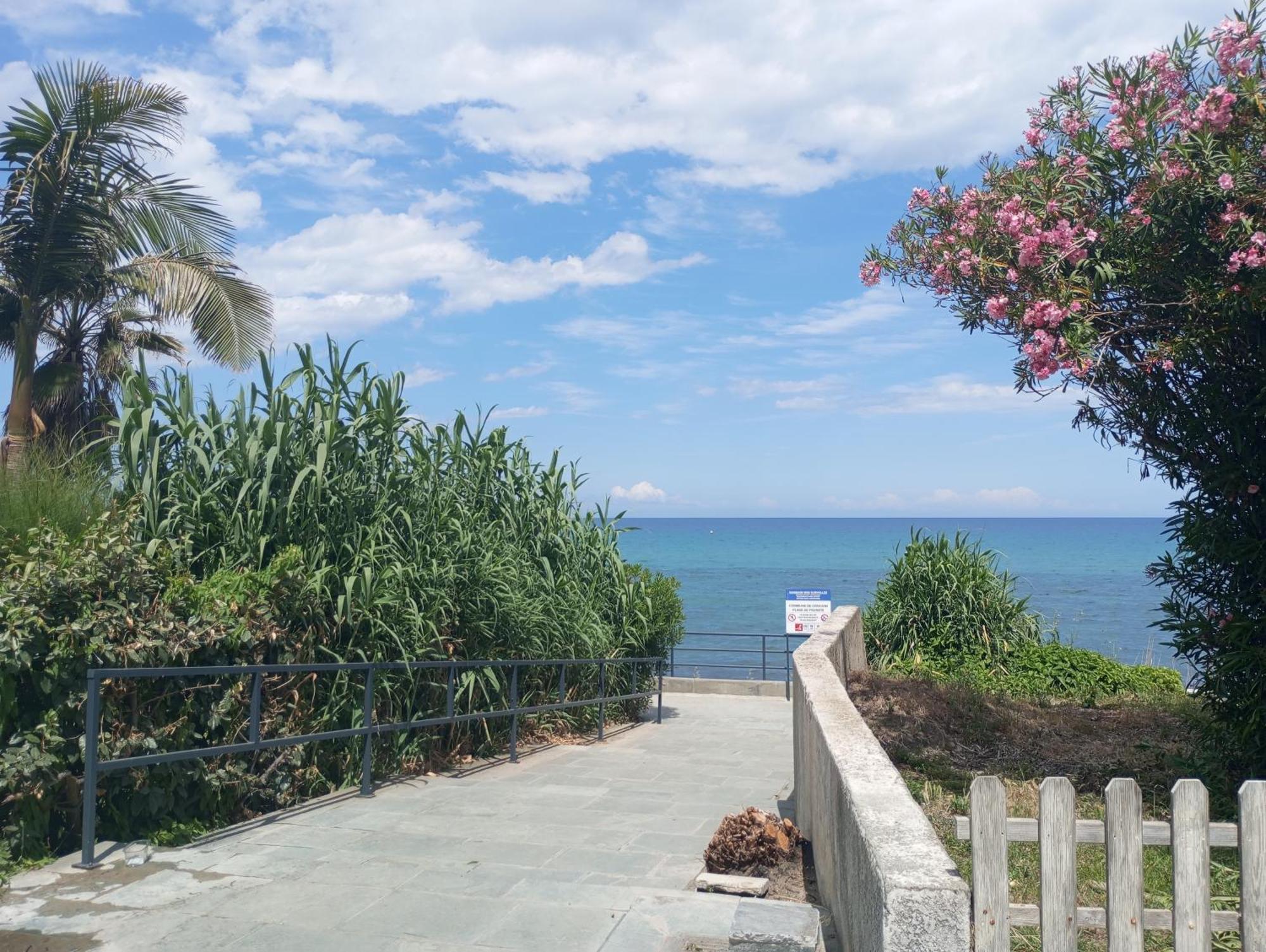 Villa Climatisee A Nuciola Prunete Entre Mer, Montagne Et Piscine Cervione Eksteriør billede
