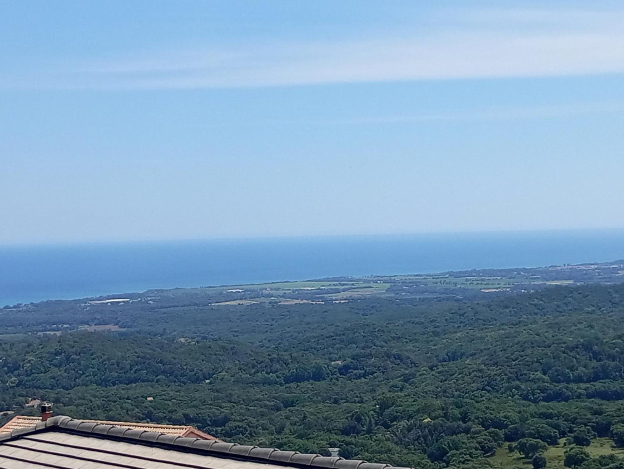 Villa Climatisee A Nuciola Prunete Entre Mer, Montagne Et Piscine Cervione Eksteriør billede