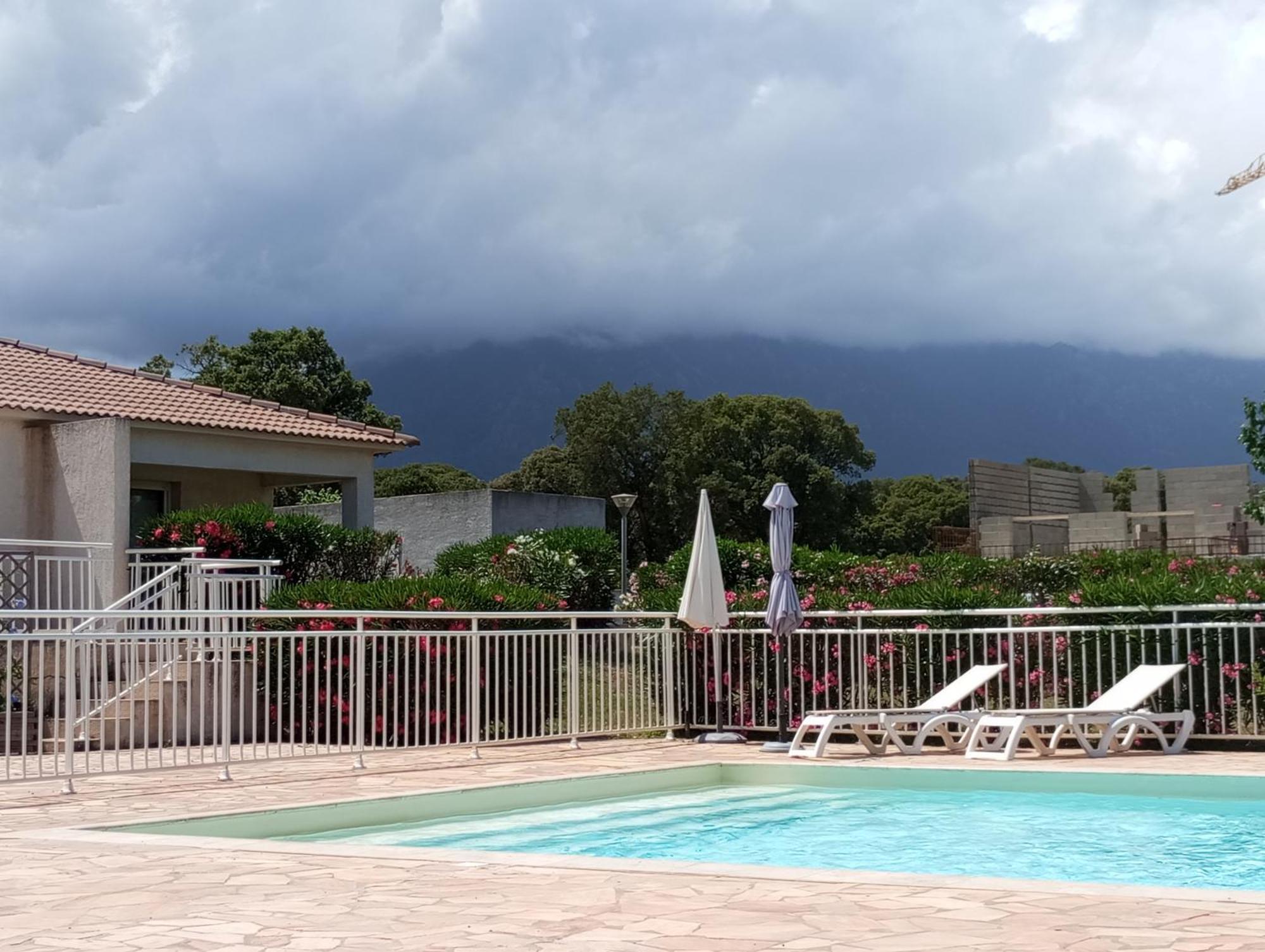Villa Climatisee A Nuciola Prunete Entre Mer, Montagne Et Piscine Cervione Eksteriør billede