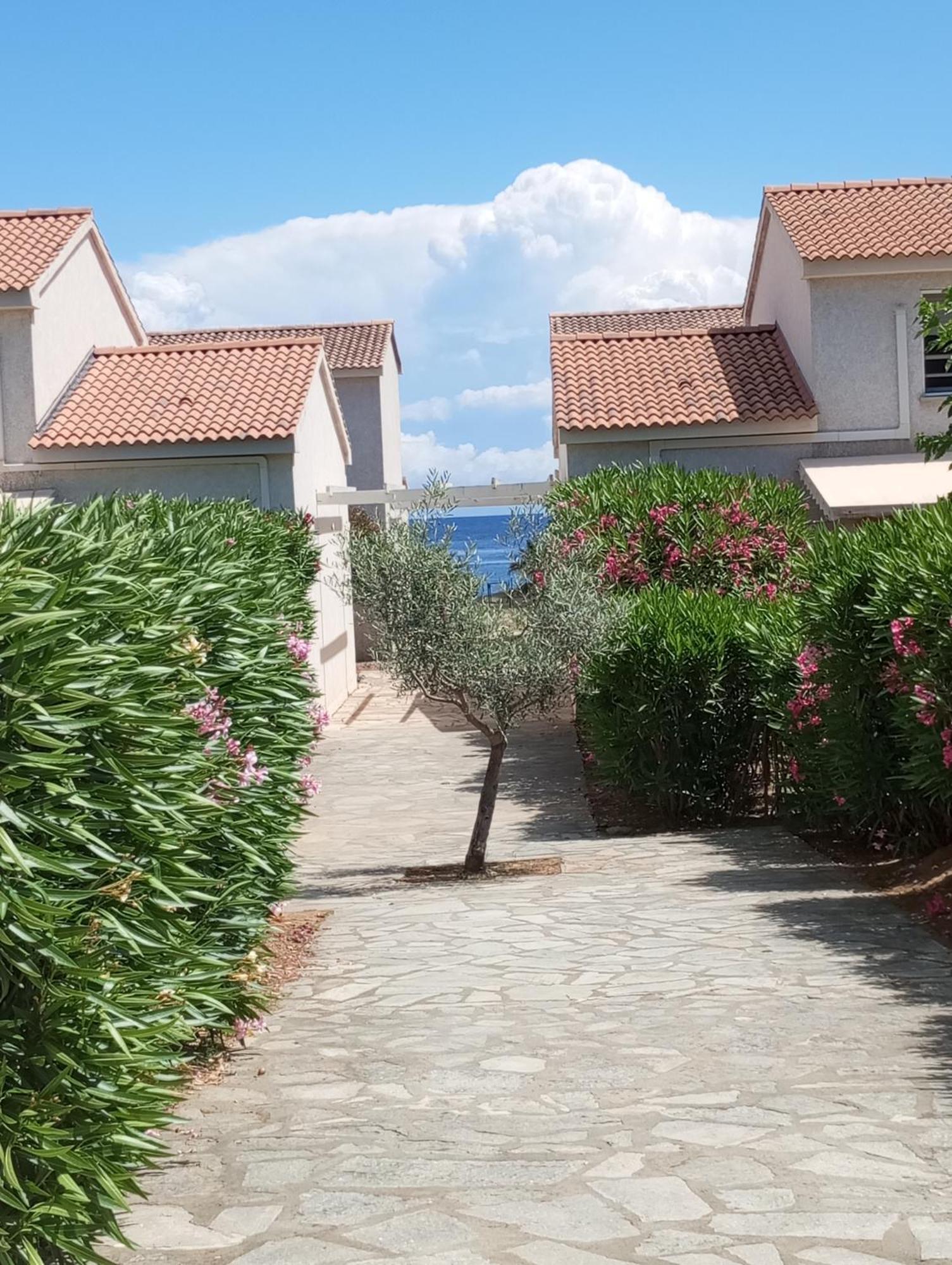 Villa Climatisee A Nuciola Prunete Entre Mer, Montagne Et Piscine Cervione Eksteriør billede