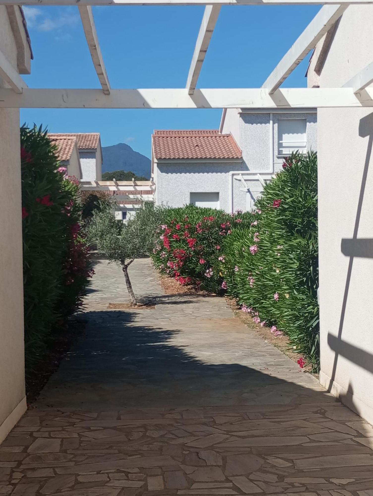 Villa Climatisee A Nuciola Prunete Entre Mer, Montagne Et Piscine Cervione Eksteriør billede