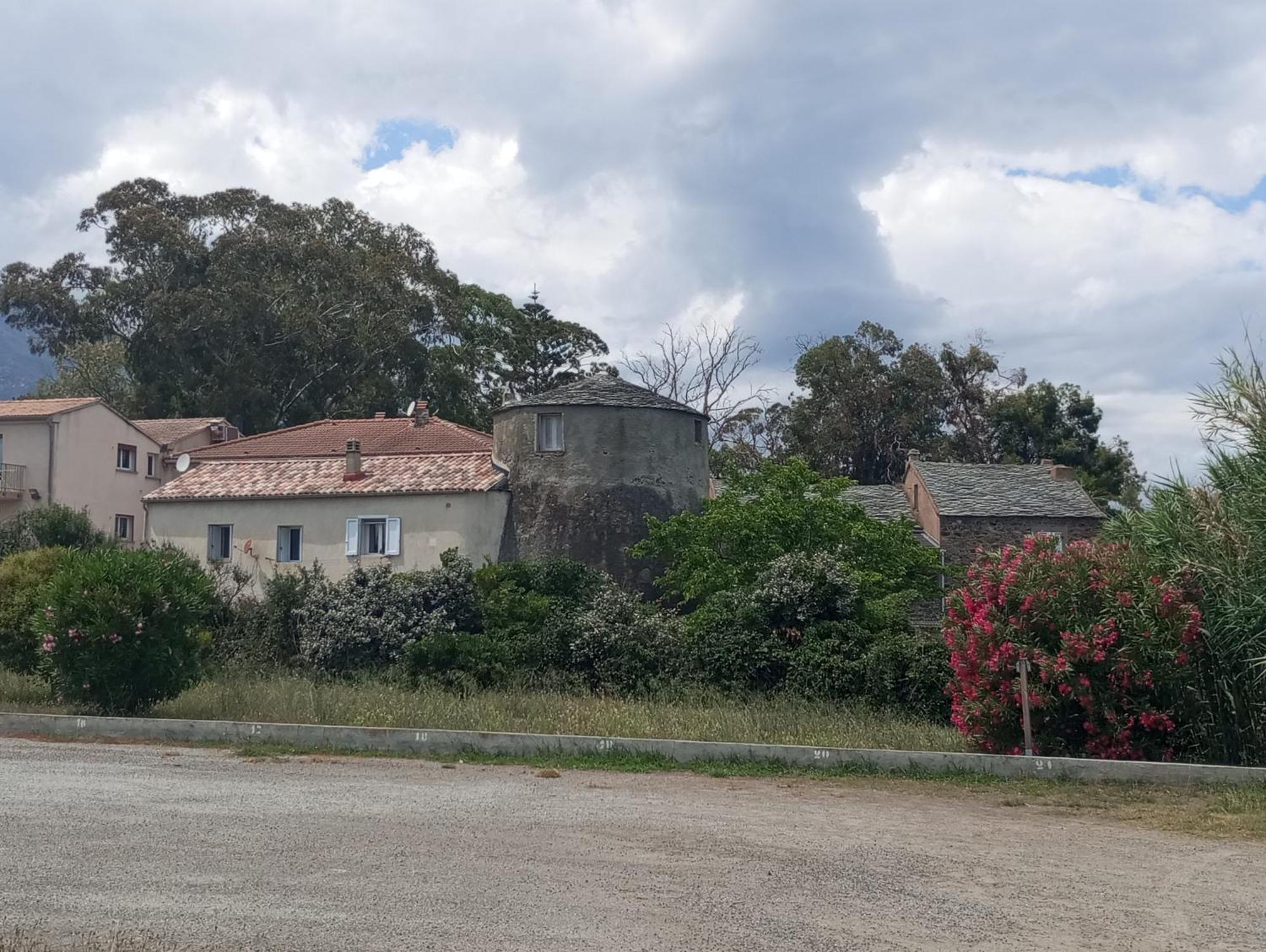 Villa Climatisee A Nuciola Prunete Entre Mer, Montagne Et Piscine Cervione Eksteriør billede