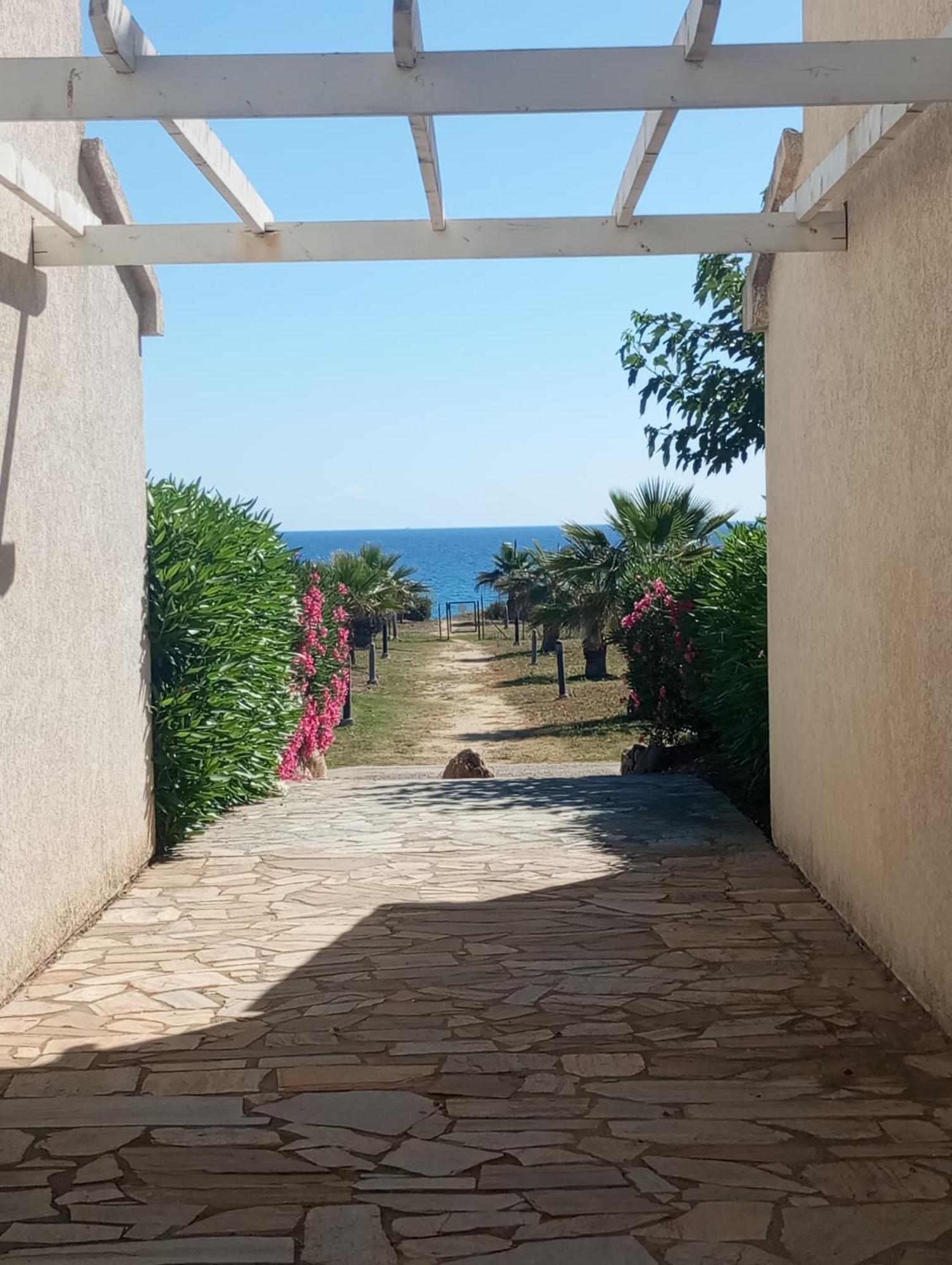 Villa Climatisee A Nuciola Prunete Entre Mer, Montagne Et Piscine Cervione Eksteriør billede